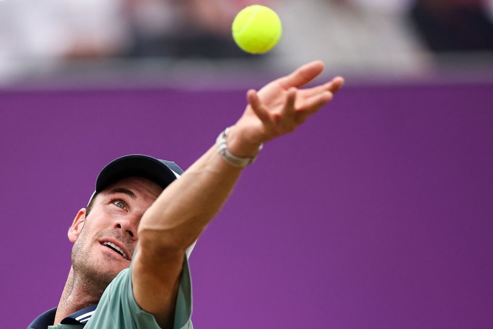 通过细腻的 通过细腻的