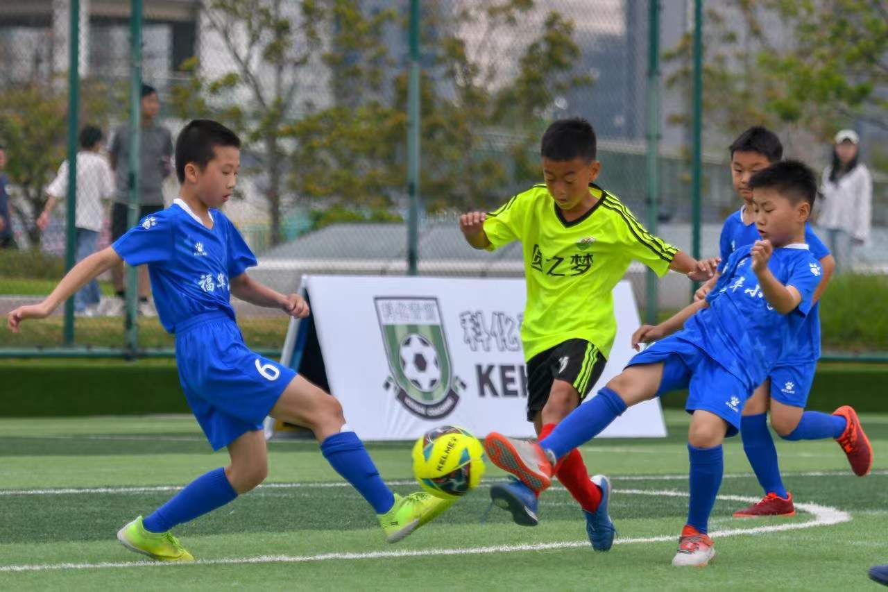 奶牛地位不 奶牛地位不