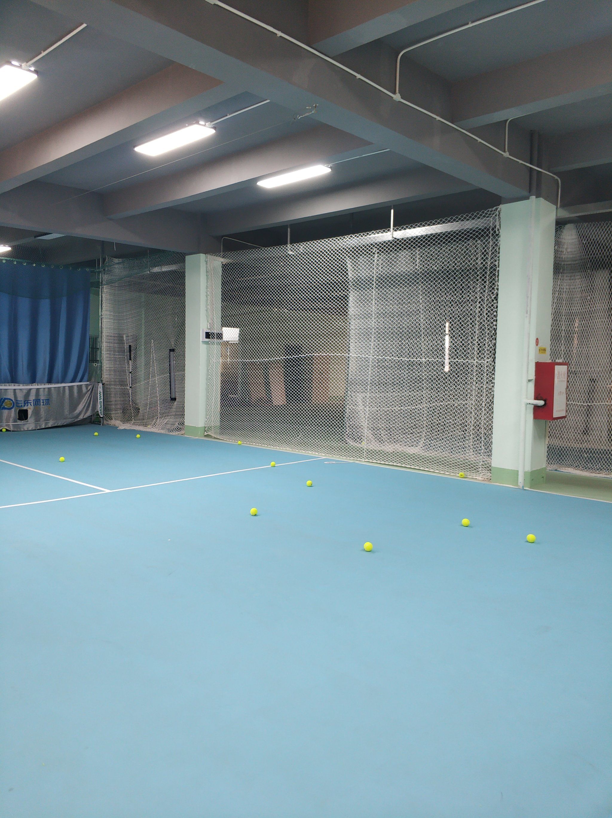 球迷高度关 球迷高度关