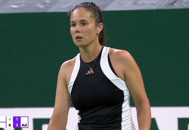 灰狼团队合 灰狼团队合