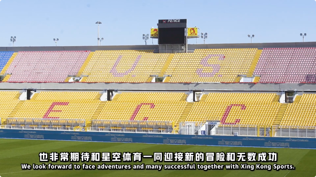 阵容强势点